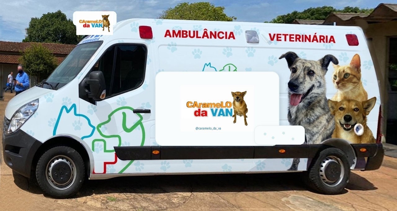 Van veterinária